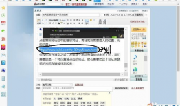新浪博客视频,揭秘精彩瞬间，带你领略网络魅力